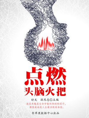 cover image of 点燃头脑火把